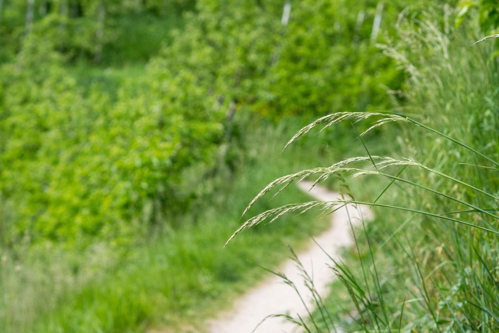 Genusswandern mit Ruhepuls