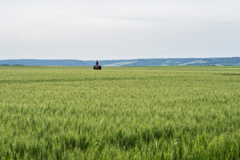 Un, deux… Troyes – willkommen in der Champagne!