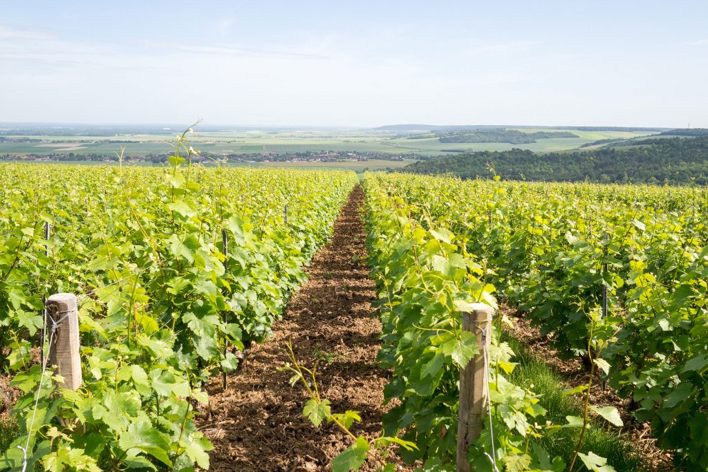 Un, deux… Troyes – willkommen in der Champagne!