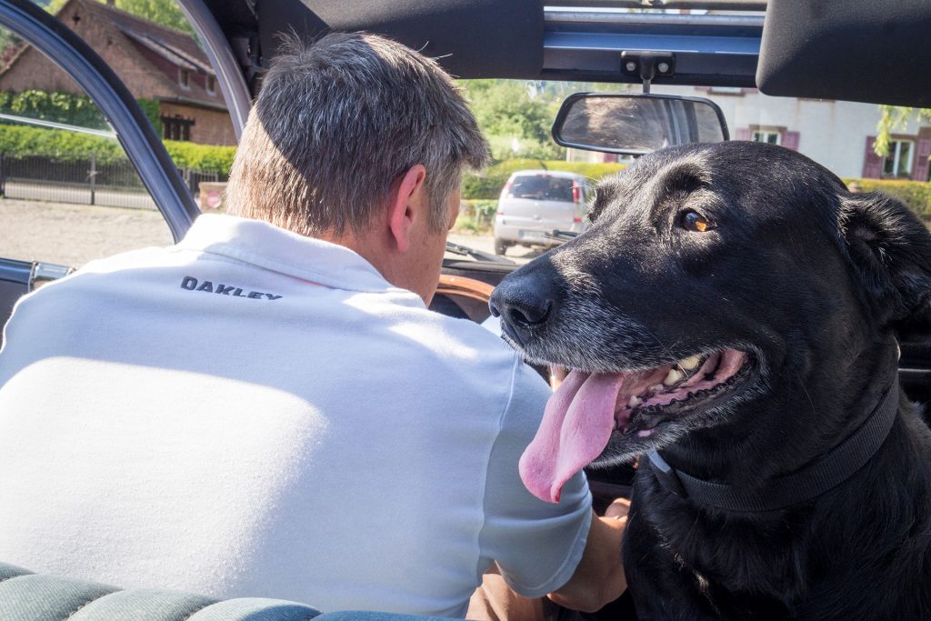 Versteckte Schätze in den Vogesen