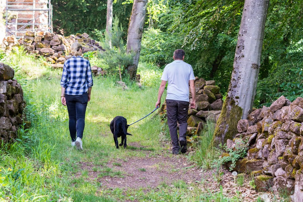 Versteckte Schätze in den Vogesen