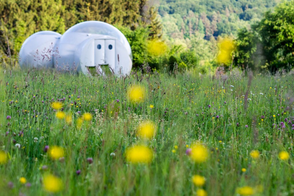 Versteckte Schätze in den Vogesen