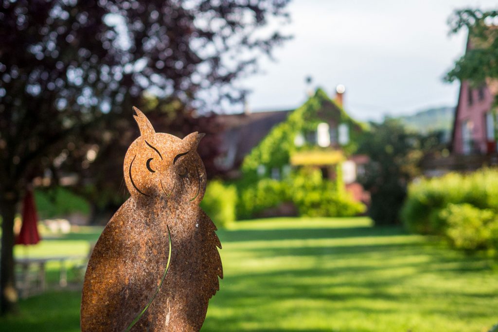Versteckte Schätze in den Vogesen
