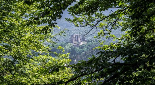 Versteckte Schätze in den Vogesen
