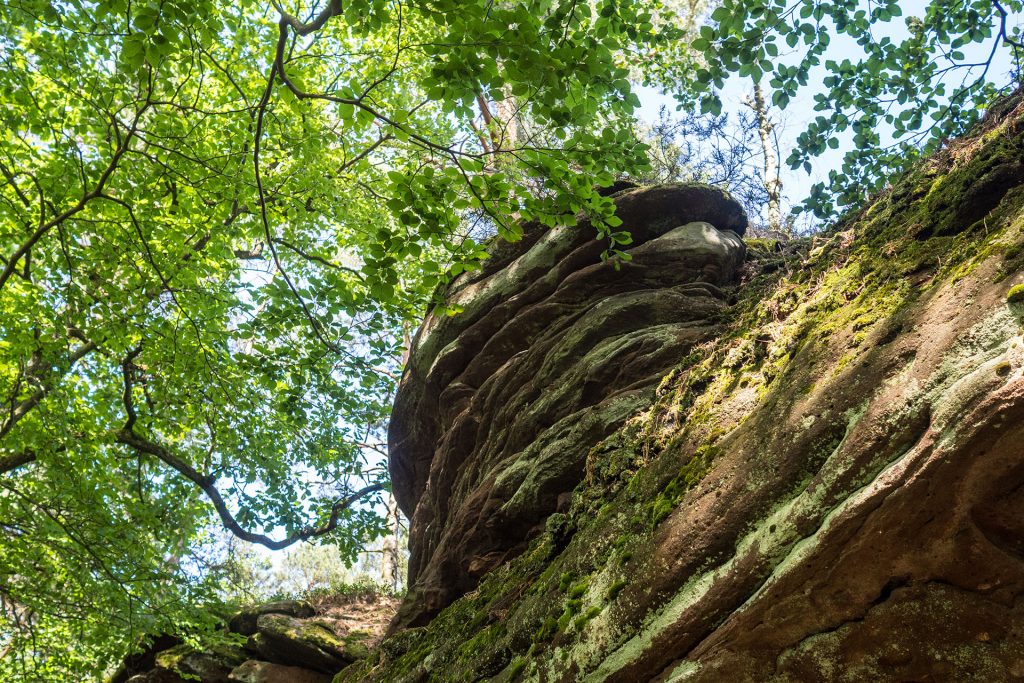 Versteckte Schätze in den Vogesen