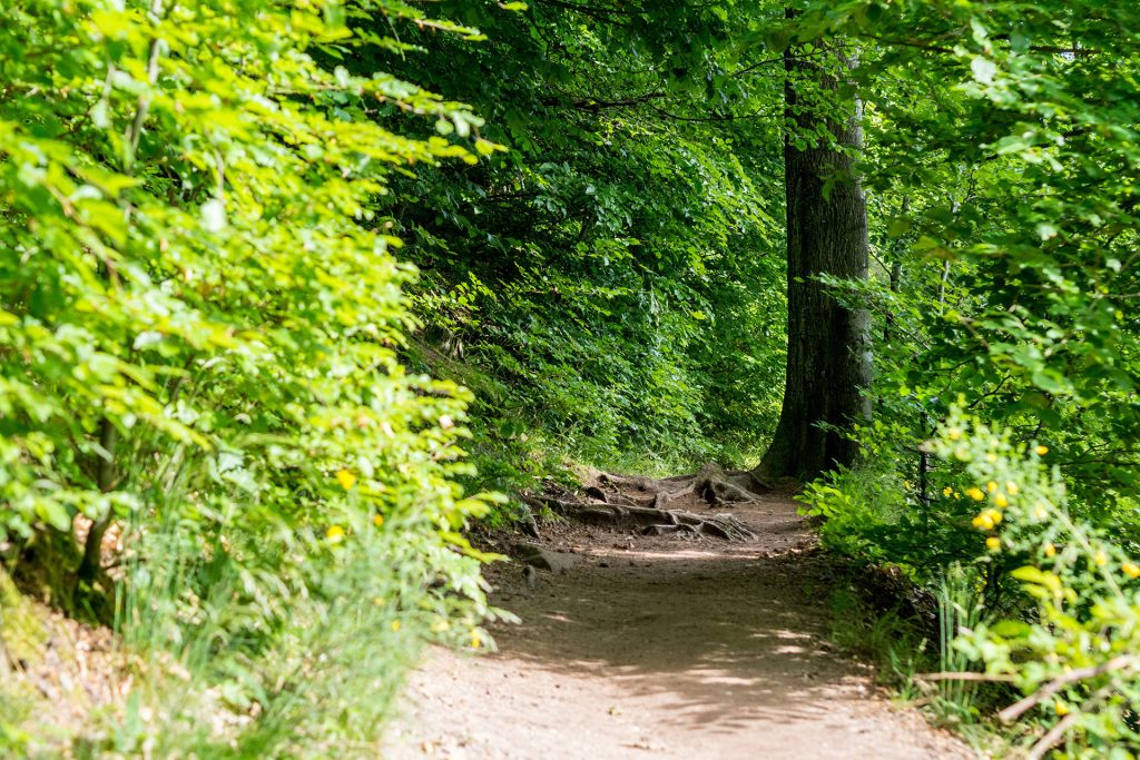 Versteckte Schätze in den Vogesen