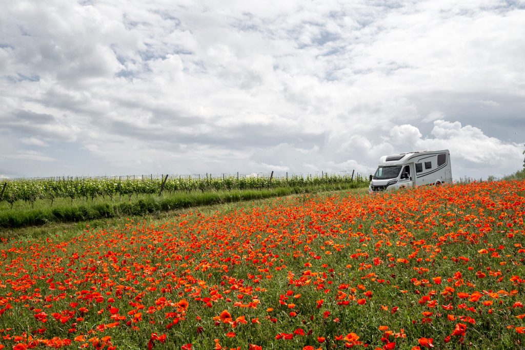 Über die Freiheit des Unterwegs-Seins