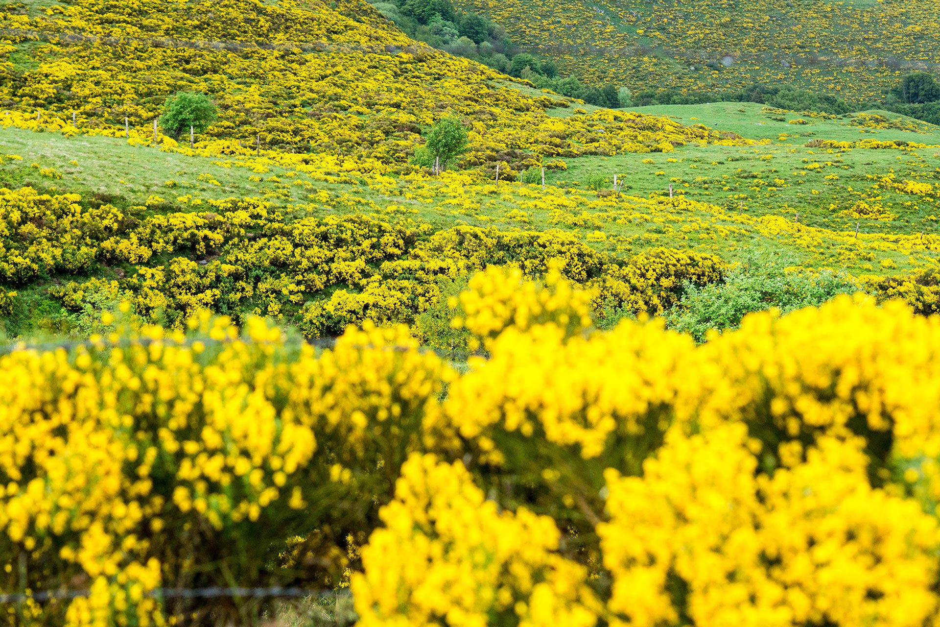 Über die Freiheit des Unterwegs-Seins
