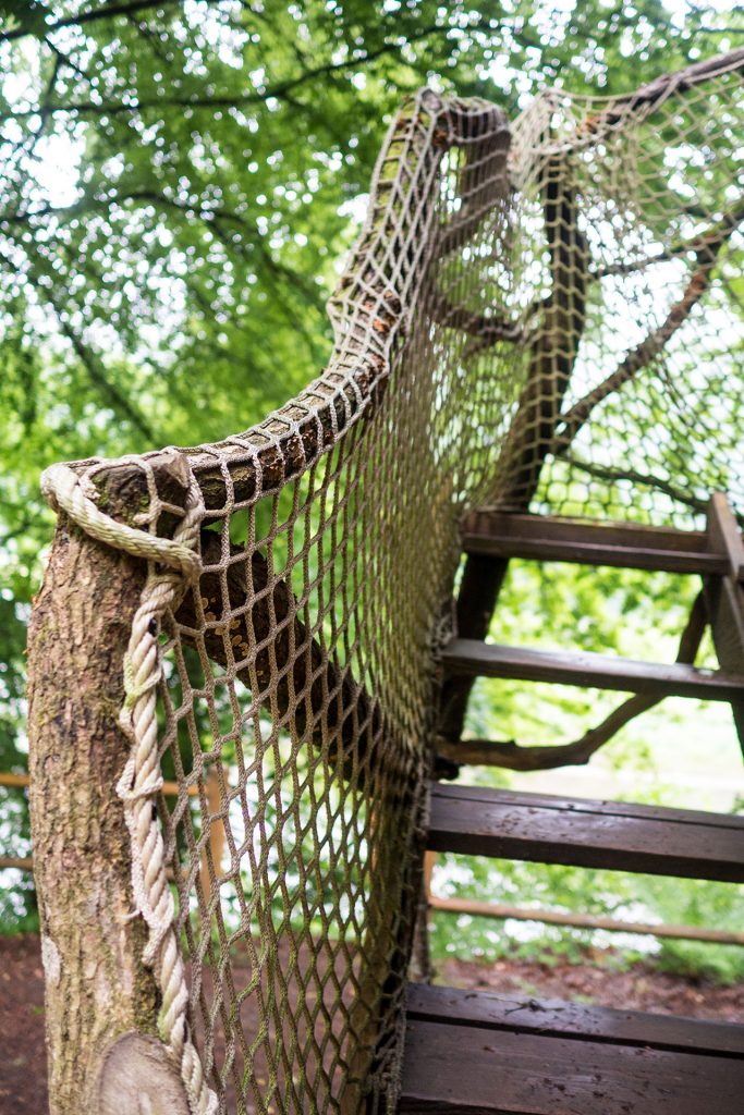 Wild, wild „Est“ – tief in den Wäldern Frankreichs