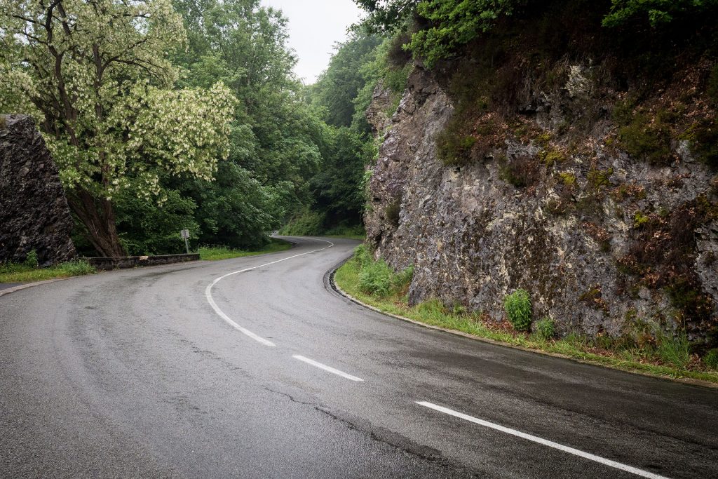 Wild, wild „Est“ – tief in den Wäldern Frankreichs