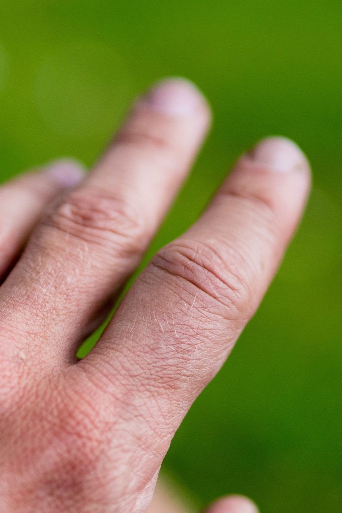 Wild, wild „Est“ – tief in den Wäldern Frankreichs