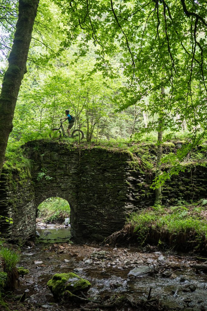 Wild, wild „Est“ – tief in den Wäldern Frankreichs