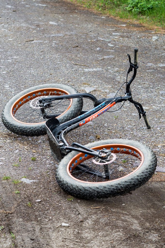 Wild, wild „Est“ – tief in den Wäldern Frankreichs