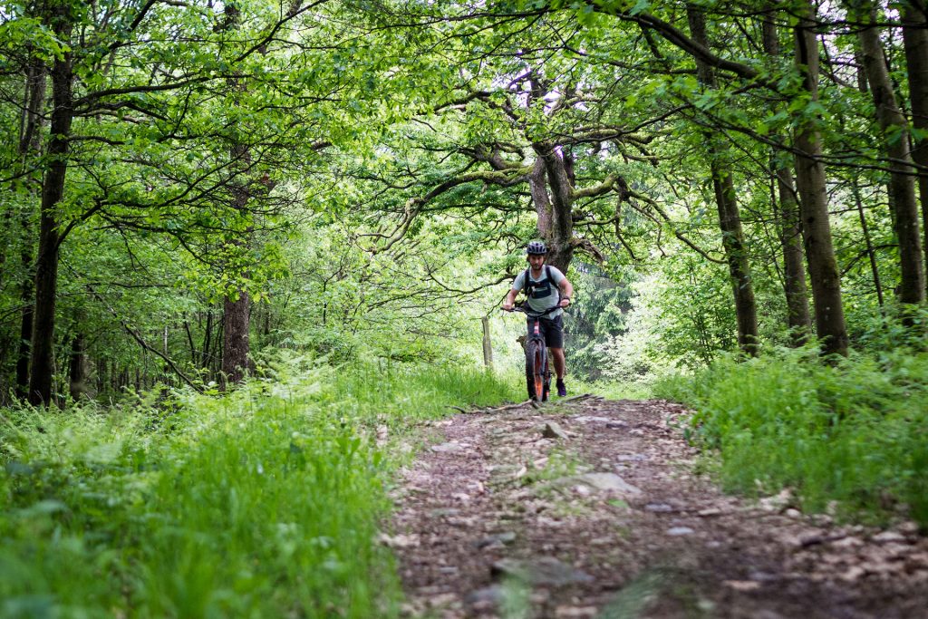 Wild, wild „Est“ – tief in den Wäldern Frankreichs