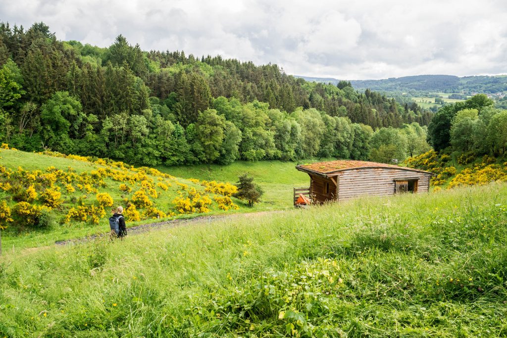 Über die Freiheit des Unterwegs-Seins