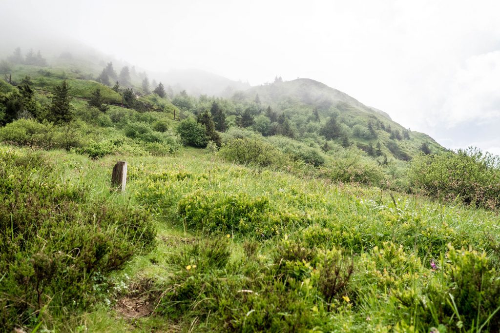 Über die Freiheit des Unterwegs-Seins