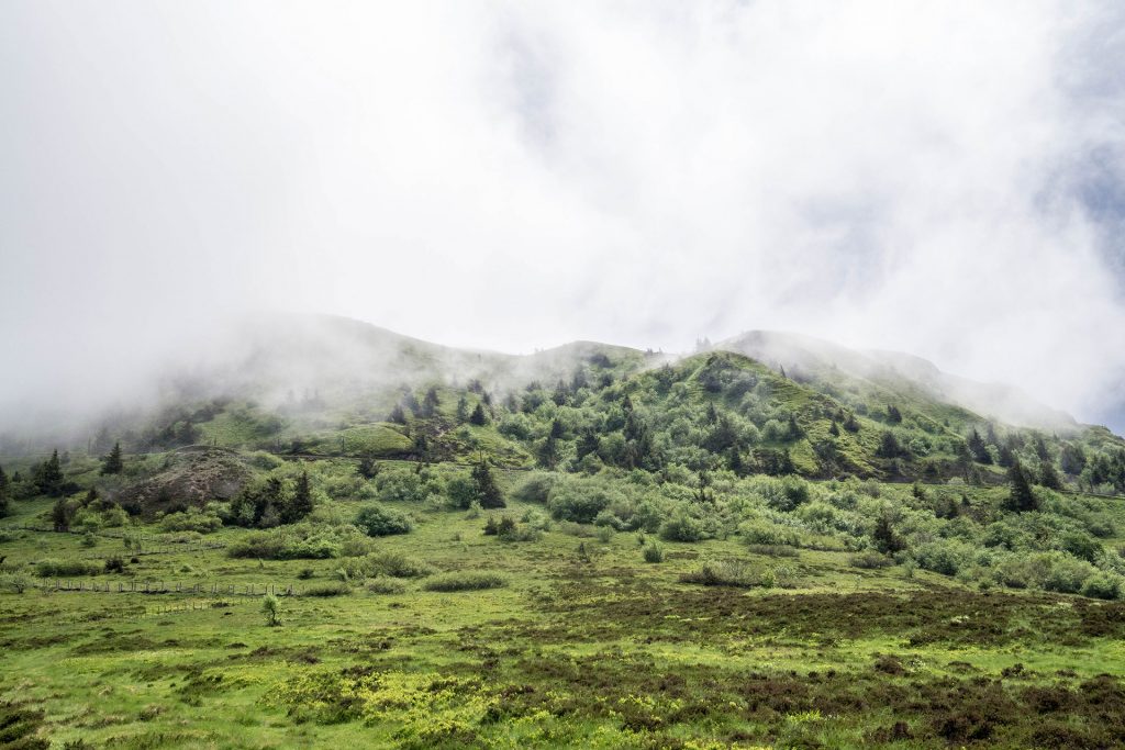 Über die Freiheit des Unterwegs-Seins