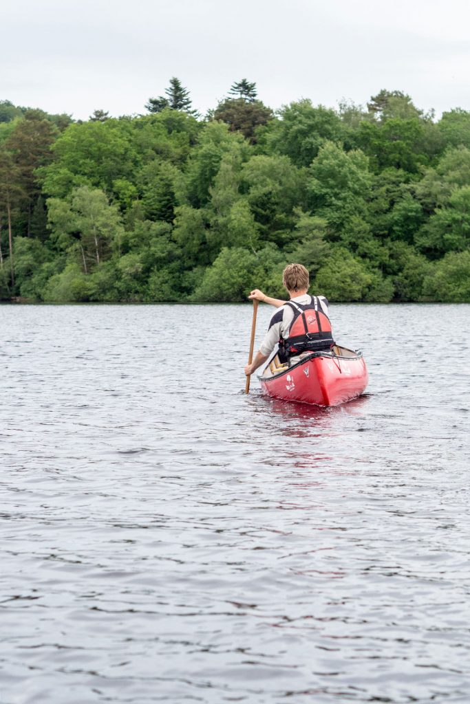 Wild, wild „Est“ – tief in den Wäldern Frankreichs