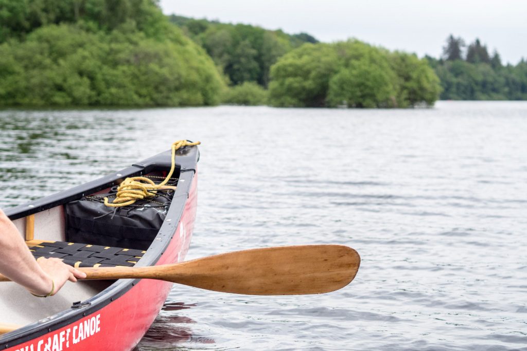 Wild, wild „Est“ – tief in den Wäldern Frankreichs