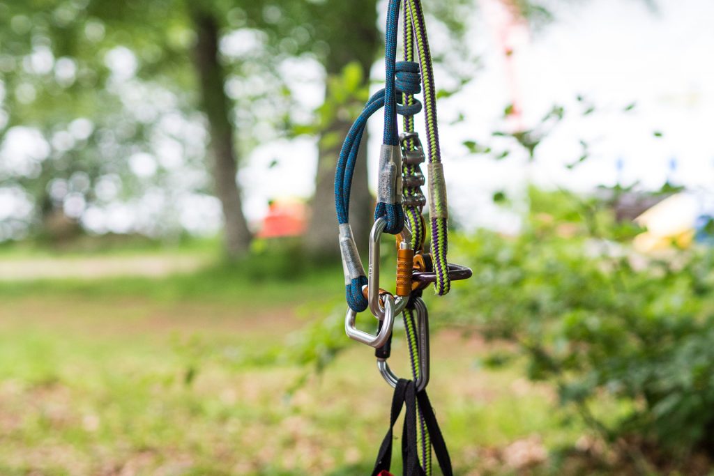 Wild, wild „Est“ – tief in den Wäldern Frankreichs