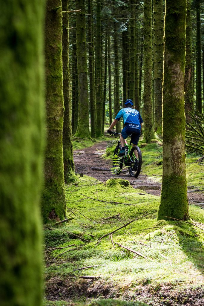 Wild, wild „Est“ – tief in den Wäldern Frankreichs