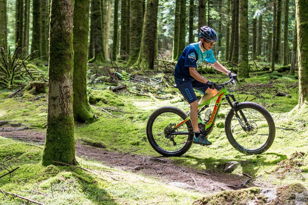 Wild, wild „Est“ – tief in den Wäldern Frankreichs