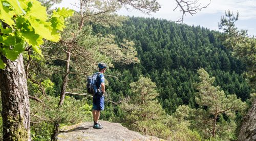 Wild, wild „Est“ – tief in den Wäldern Frankreichs