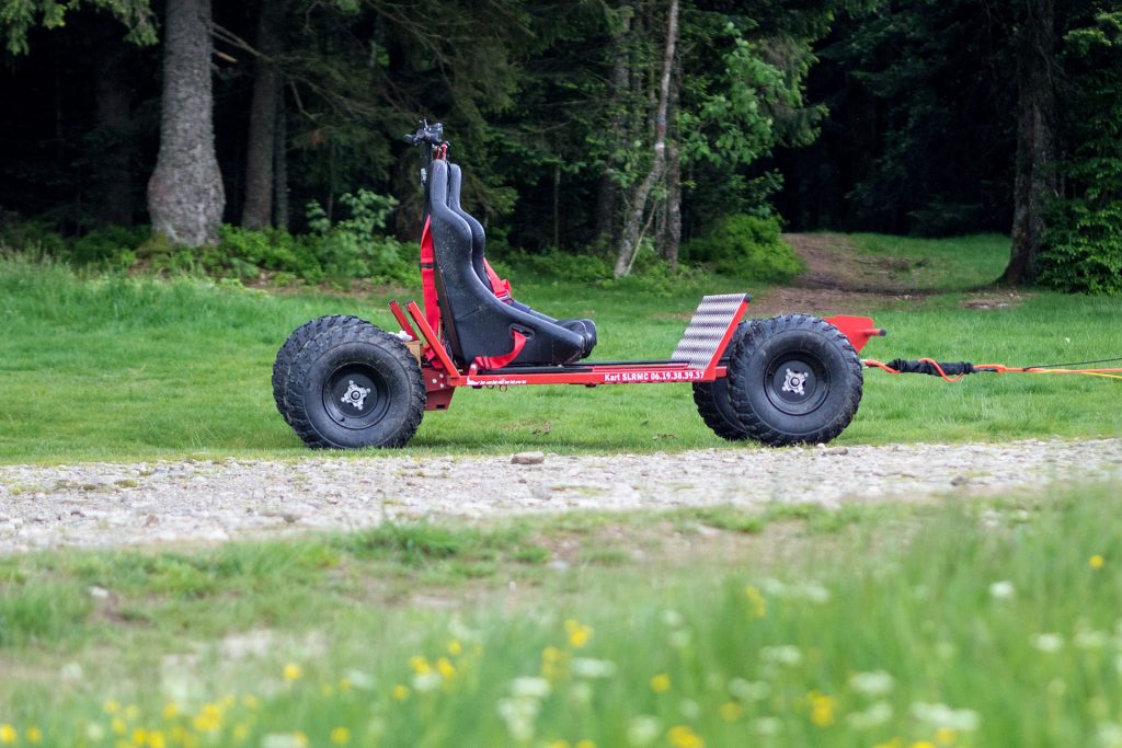 Wild, wild „Est“ – tief in den Wäldern Frankreichs