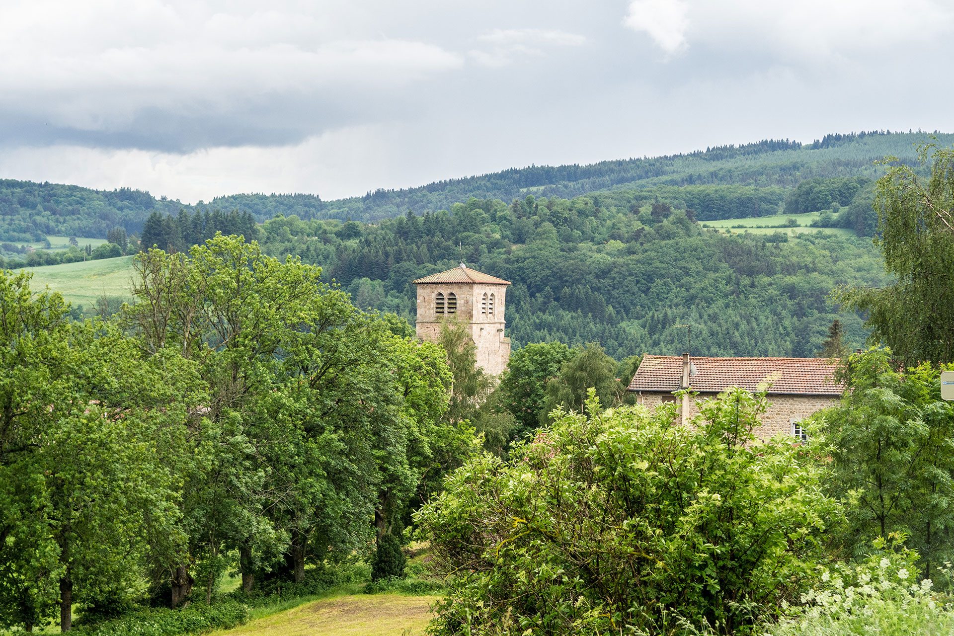 Wild, wild „Est“ – tief in den Wäldern Frankreichs