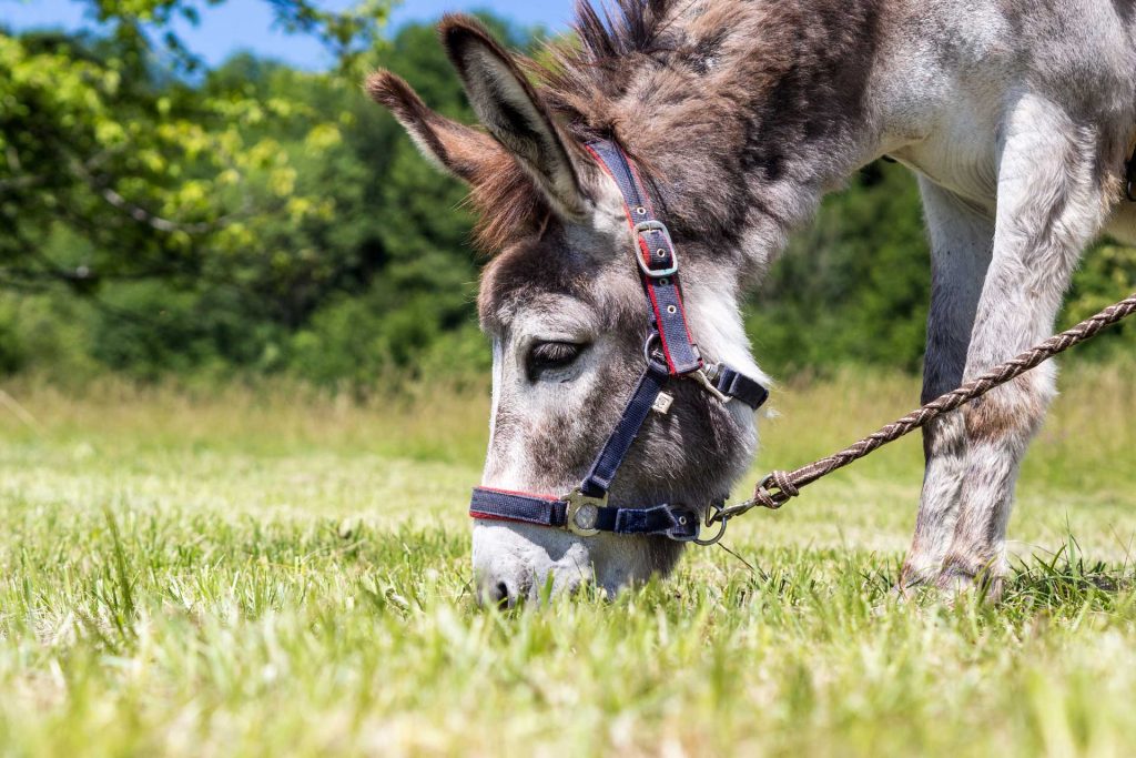 Der Bliesgau – ein Entdeckerwochenende im Saarland