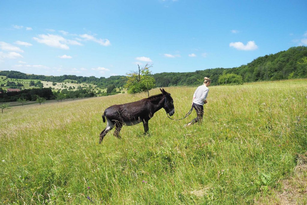 Der Bliesgau – ein Entdeckerwochenende im Saarland