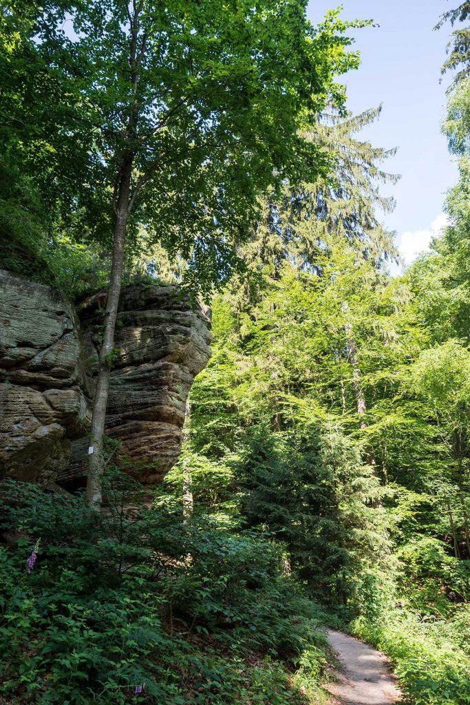 Der Bliesgau – ein Entdeckerwochenende im Saarland