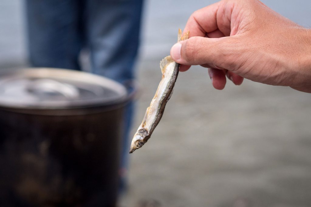 Neufundland – oder die Einzigartikeit der Küste