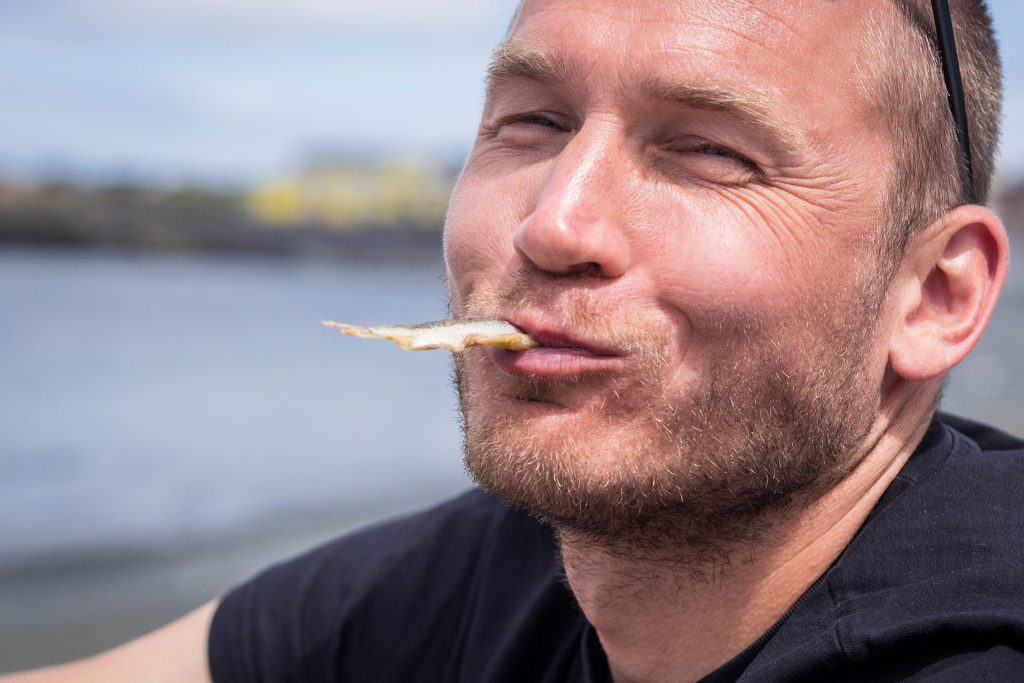 Neufundland – oder die Einzigartikeit der Küste