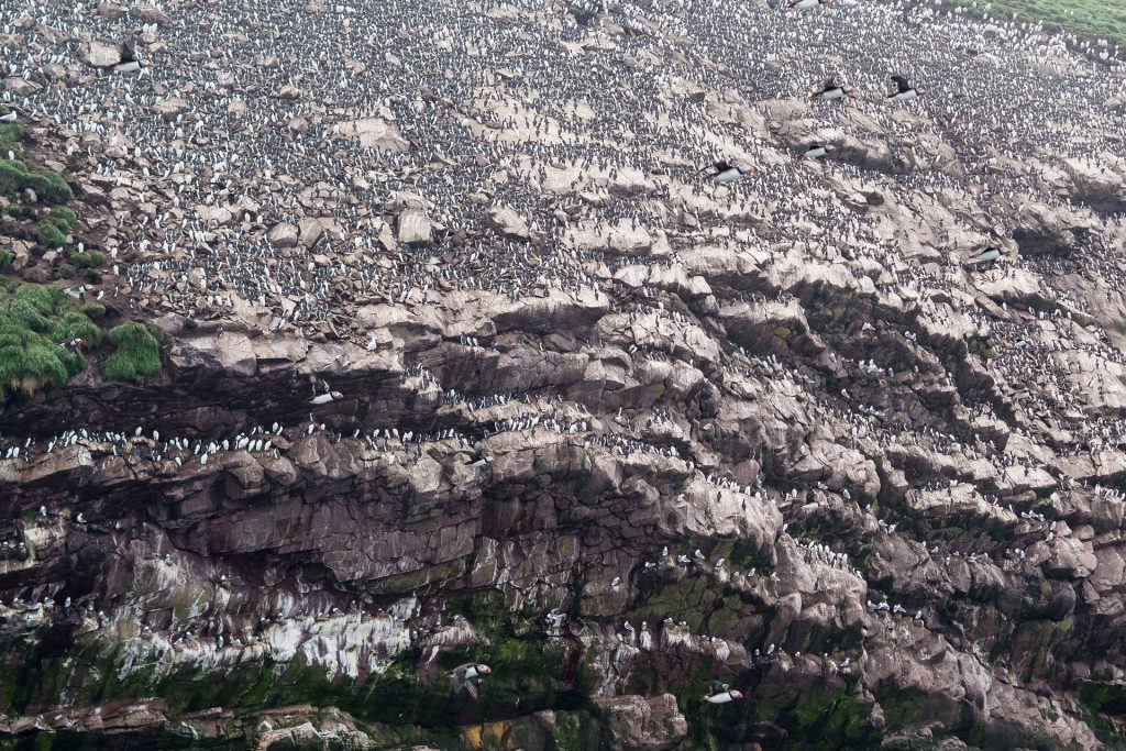 Neufundland – oder die Einzigartikeit der Küste