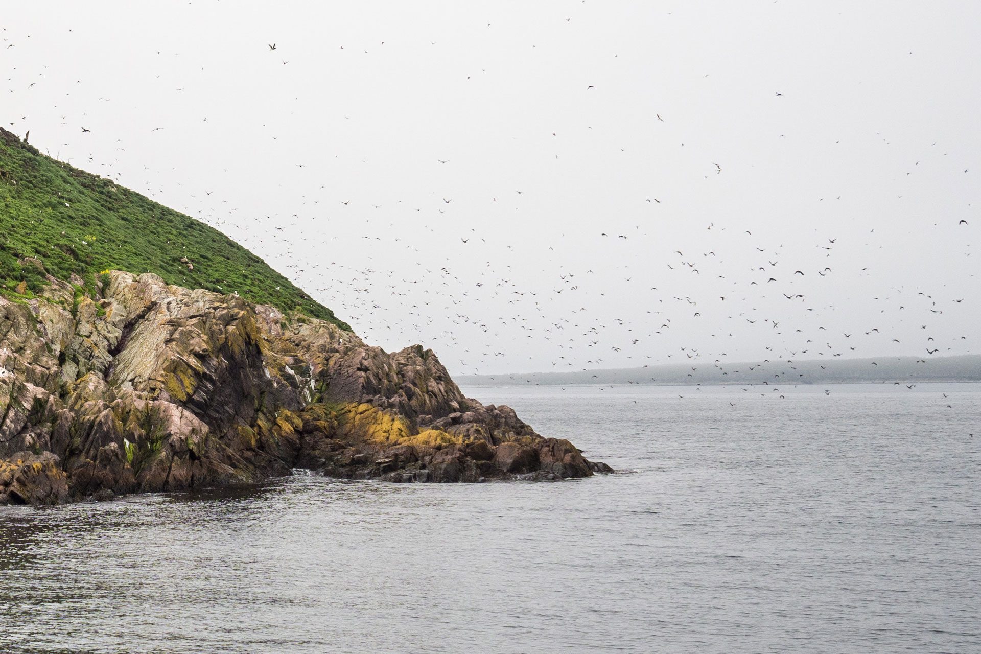 Neufundland – oder die Einzigartikeit der Küste