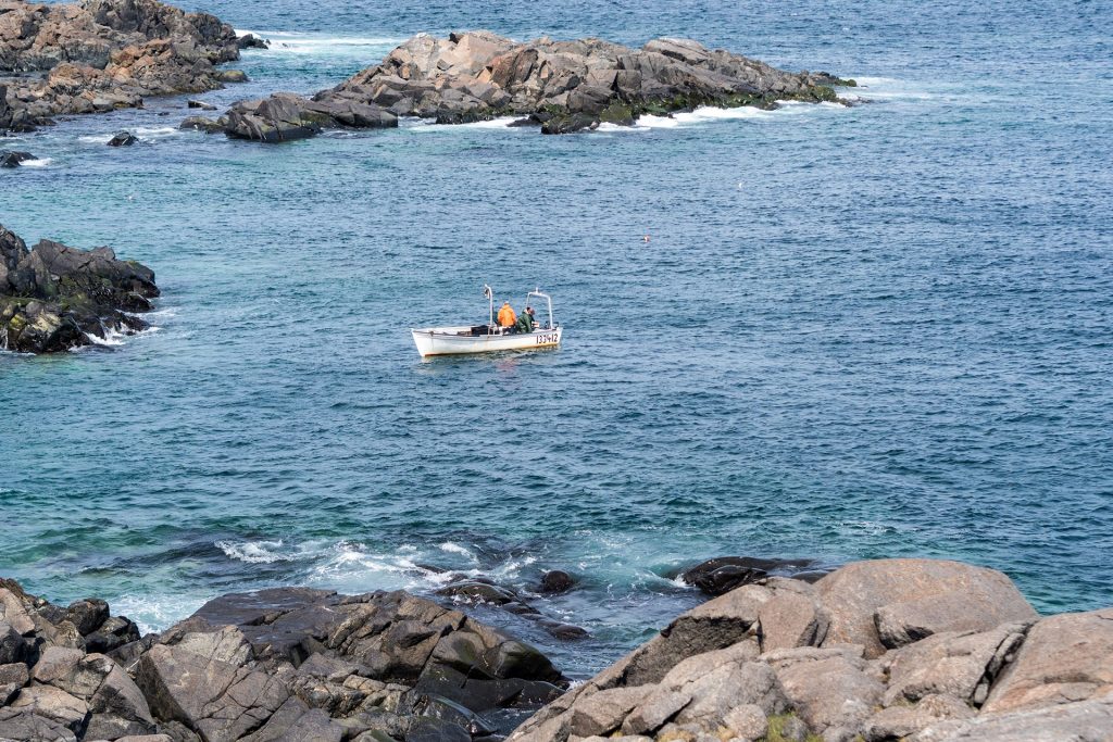 Lost and Found – auf Fogo Island