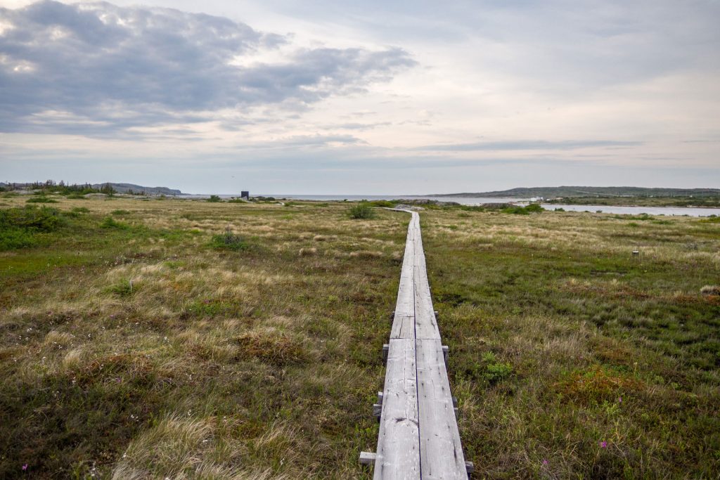 Lost and Found – auf Fogo Island