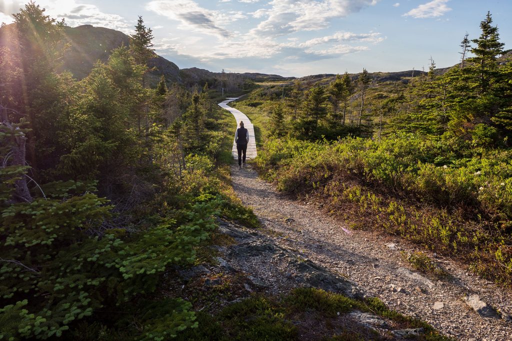 Lost and Found – auf Fogo Island