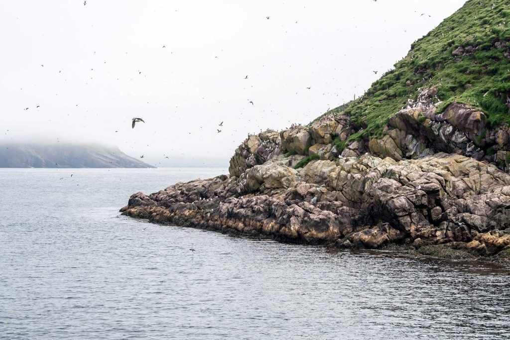 Neufundland – oder die Einzigartikeit der Küste