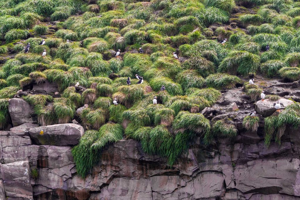 Neufundland – oder die Einzigartikeit der Küste