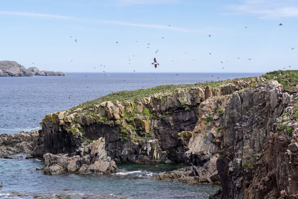 Neufundland – oder die Einzigartikeit der Küste
