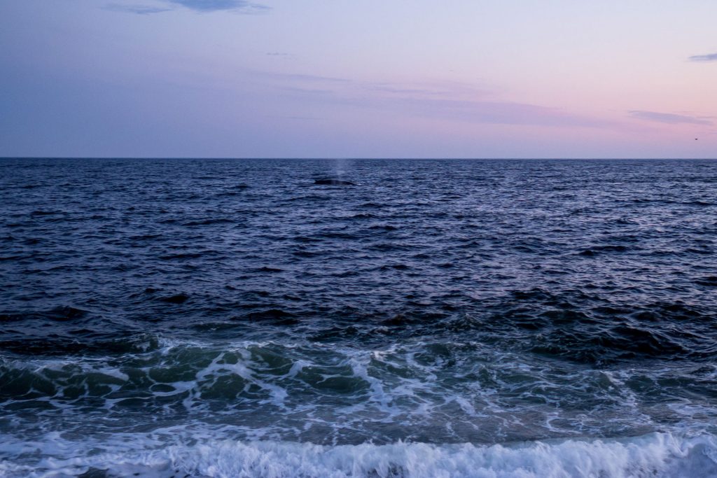 Neufundland – oder die Einzigartikeit der Küste