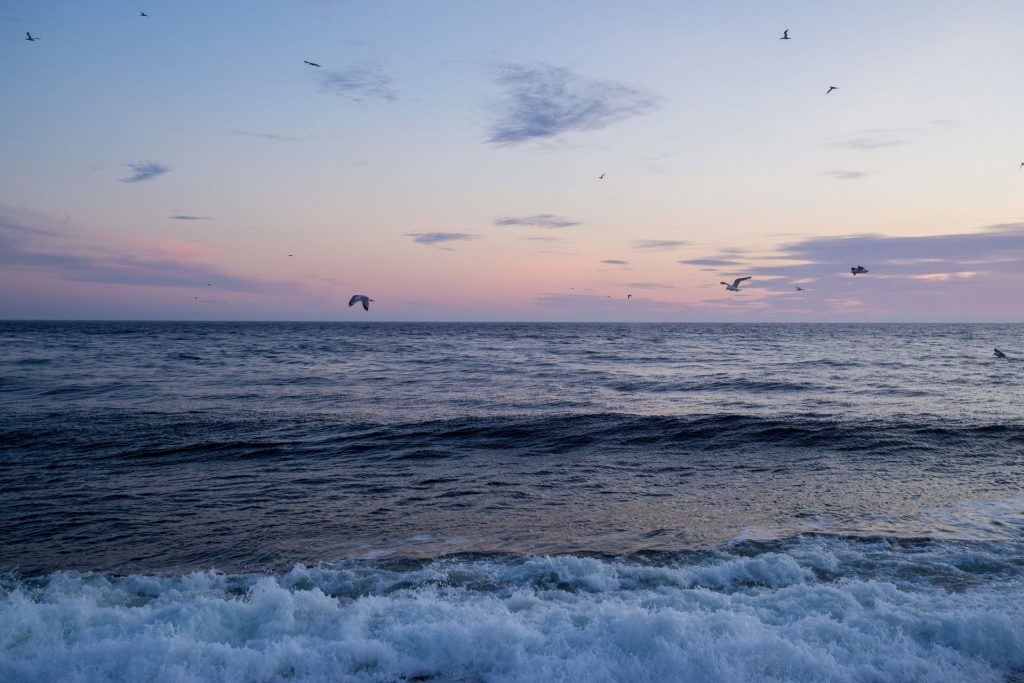 Neufundland – oder die Einzigartikeit der Küste