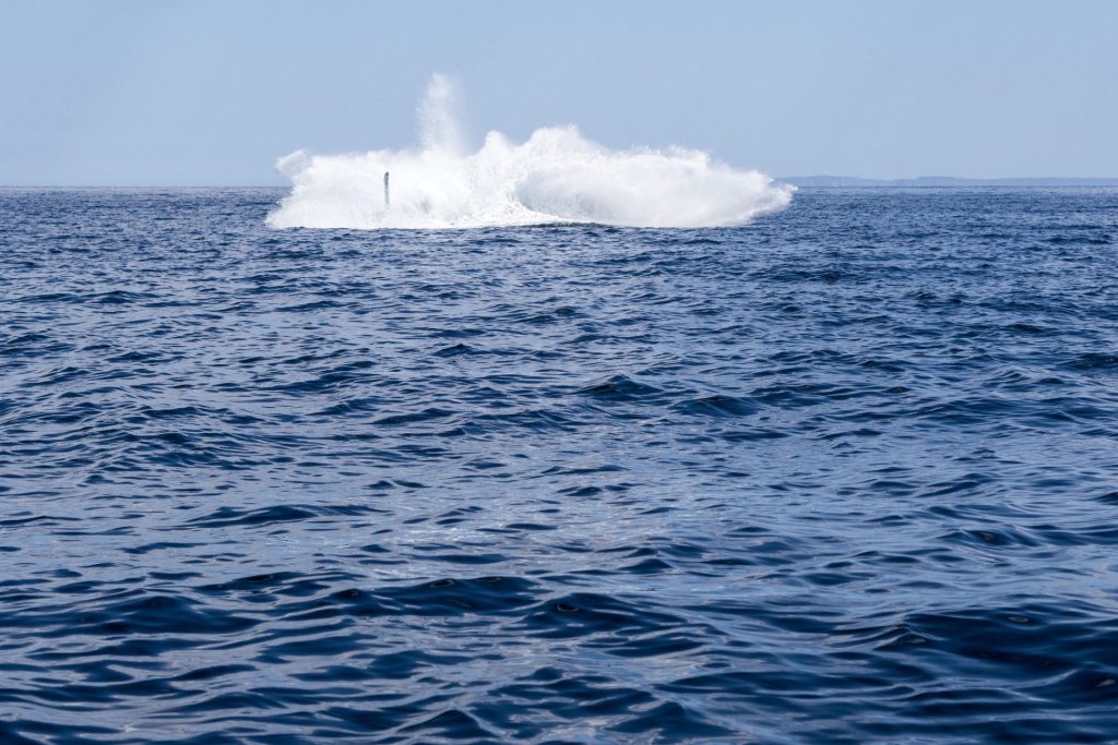 Neufundland – oder die Einzigartikeit der Küste