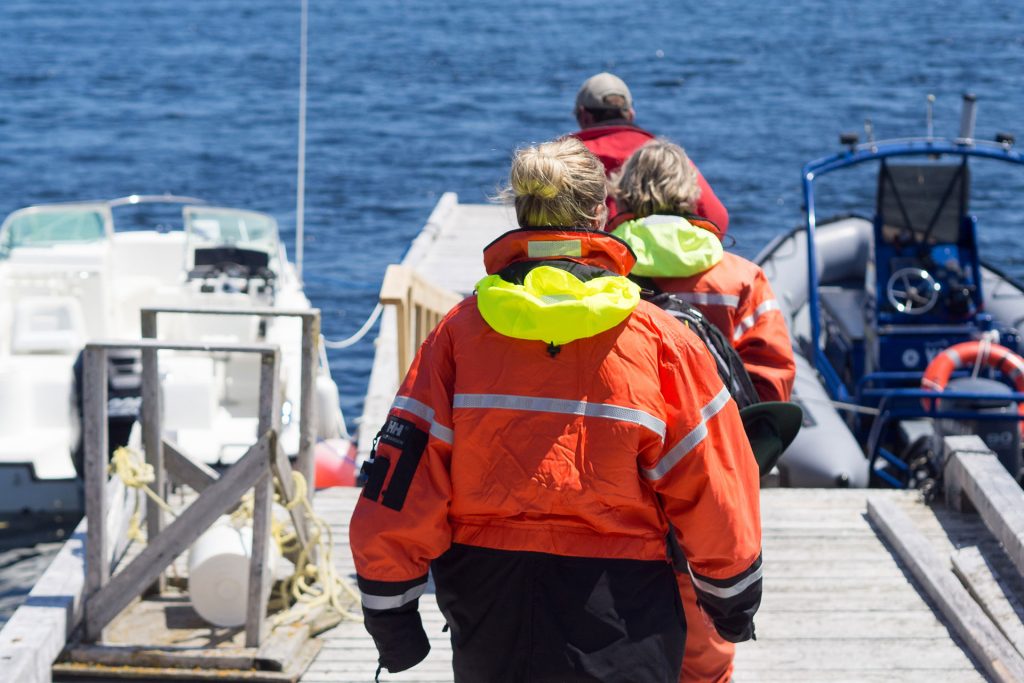 Neufundland – oder die Einzigartikeit der Küste