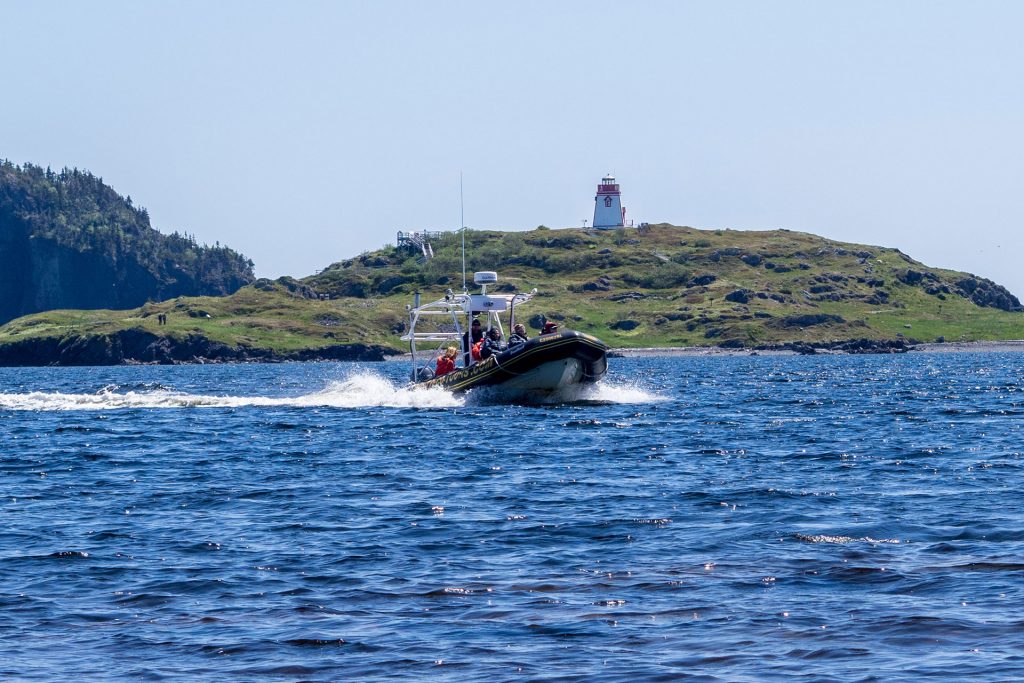 Neufundland – oder die Einzigartikeit der Küste