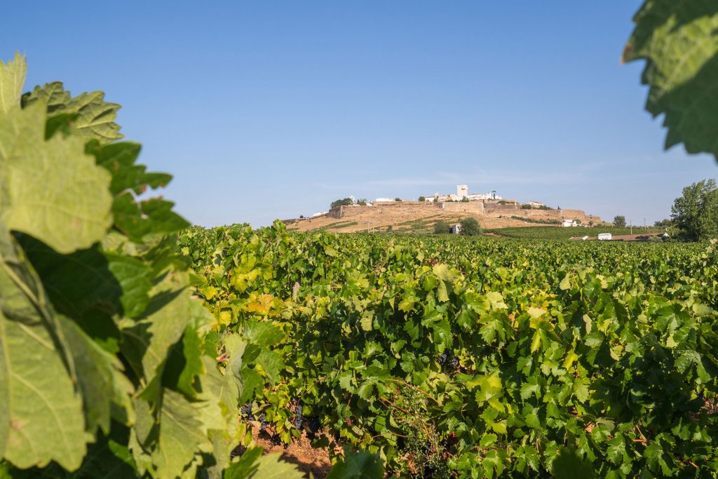 Drei Tage im Alentejo – einmal Glück to go, bitte!