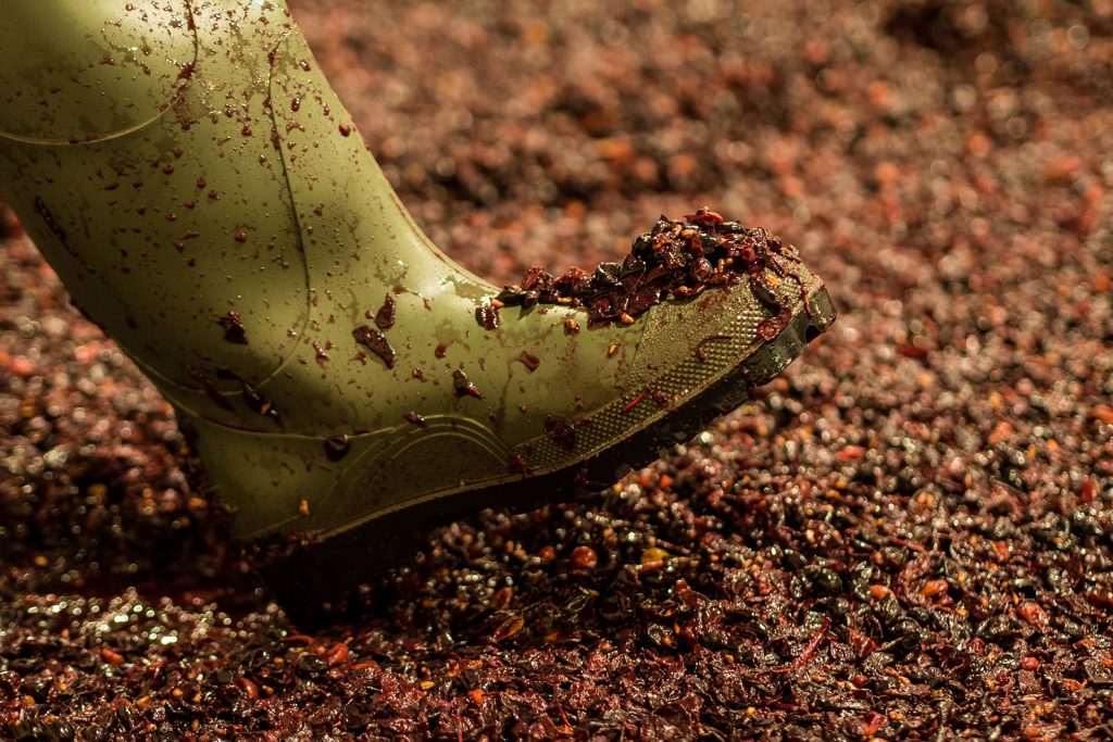 Drei Tage im Alentejo – einmal Glück to go, bitte!