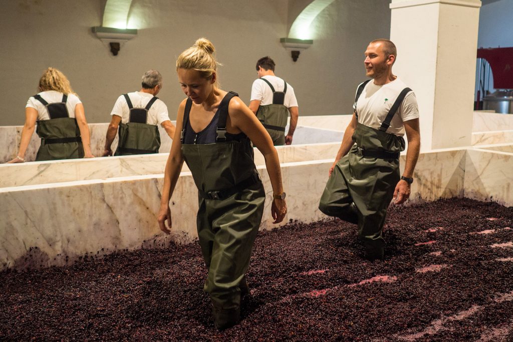 Drei Tage im Alentejo – einmal Glück to go, bitte!